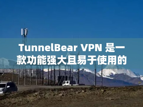 TunnelBear VPN 是一款功能强大且易于使用的VPN软件，专为用户设计，支持多种语言环境，提供多样化的使用体验。以下是关于 TunnelBear VPN 的详细介绍