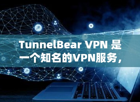 TunnelBear VPN 是一个知名的VPN服务，适合用户在不同需求下进行加密访问。以下是根据用户需求和推荐的详细信息