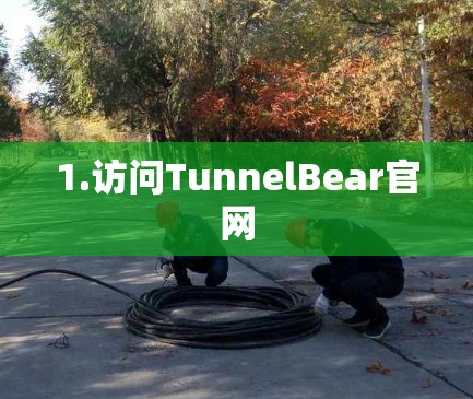 1.访问TunnelBear官网