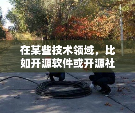 在某些技术领域，比如开源软件或开源社区中，免费节点可能指的是一种开源项目中的免费版本或免费的资源。例如，开源软件可能会提供免费的版本，供用户下载使用，而这些版本通常在特定条件下运行