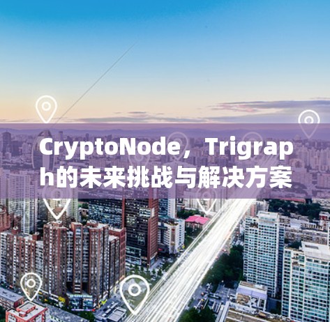 CryptoNode，Trigraph的未来挑战与解决方案