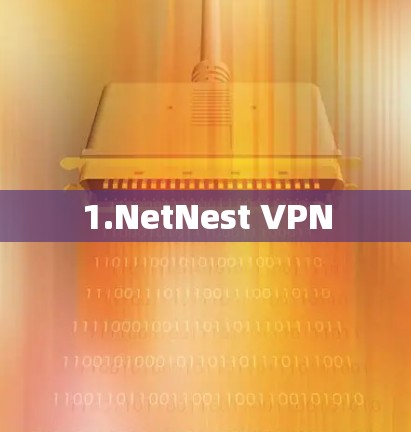 1.NetNest VPN 1.NetNest VPN