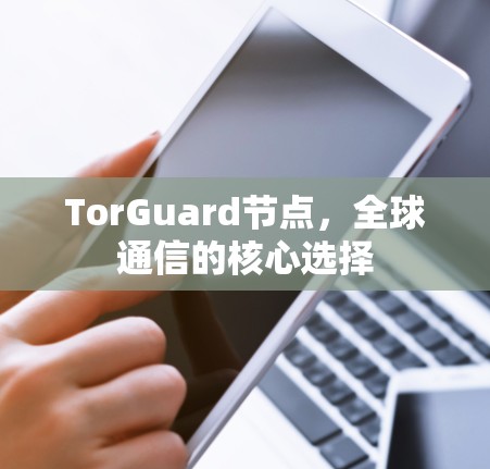 TorGuard节点,全球通信的核心选择 TorGuard节点,全球通信的核心选择