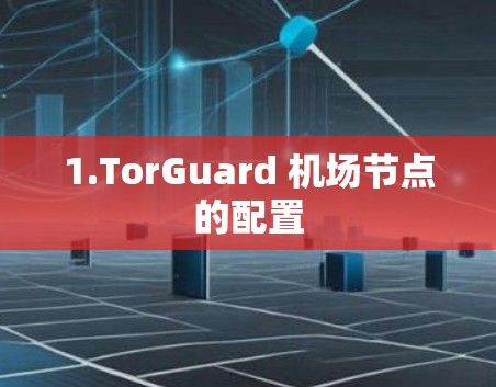 1.TorGuard 机场节点的配置