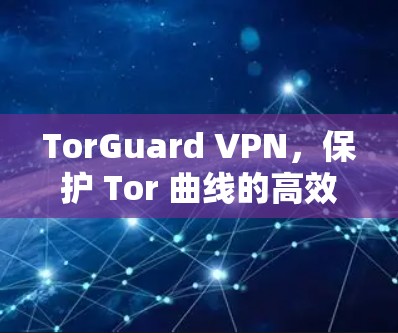 TorGuard VPN,保护 Tor 曲线的高效VPN解决方案 TorGuard VPN,保护 Tor 曲线的高效VPN解决方案
