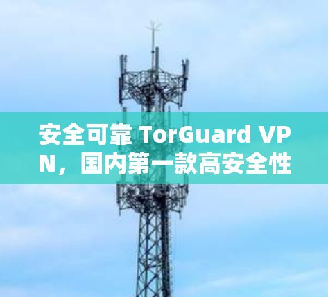 安全可靠 TorGuard VPN,国内第一款高安全性 VPN 产品 安全可靠 TorGuard VPN,国内第一款高安全性 VPN 产品