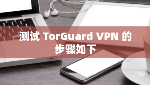 测试 TorGuard VPN 的步骤如下 测试 TorGuard VPN 的步骤如下