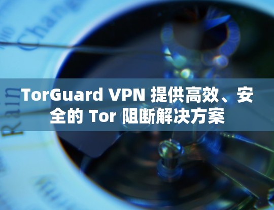TorGuard VPN 提供高效、安全的 Tor 阻断解决方案