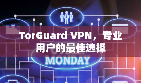 TorGuard VPN,专业用户的最佳选择 TorGuard VPN,专业用户的最佳选择