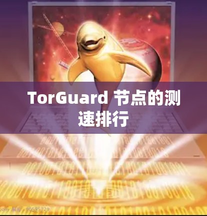 TorGuard 节点的测速排行