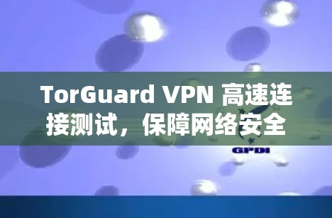 TorGuard VPN 高速连接测试，保障网络安全，提升用户体验
