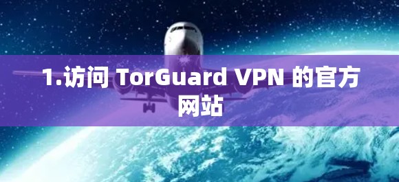 1.访问 TorGuard VPN 的官方网站