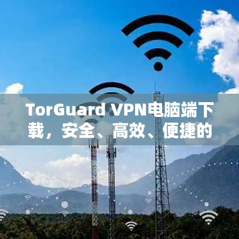 TorGuard VPN电脑端下载，安全、高效、便捷的VPN选择