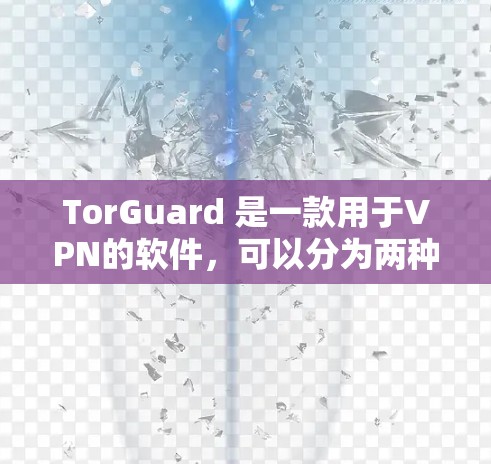 TorGuard 是一款用于VPN的软件，可以分为两种版本，独立软件和集成到网上服务器的端端软件。以下是一些关于 TorGuard 的电脑端软件的信息