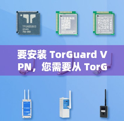 要安装 TorGuard VPN，您需要从 TorGuard 的官方网站或其他VPN网站下载安装包，通常可以通过以下方式获取
