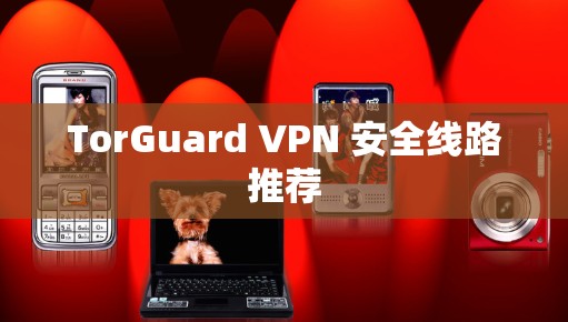 TorGuard VPN 安全线路推荐