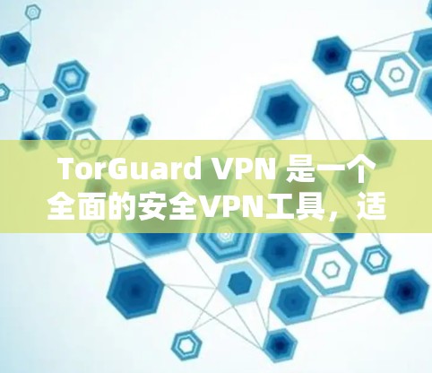 TorGuard VPN 是一个全面的安全VPN工具,适合需要多层加密和多种保护措施的用户。以下是其关键评估 TorGuard VPN 是一个全面的安全VPN工具,适合需要多层加密和多种保护措施的用户。以下是其关键评估