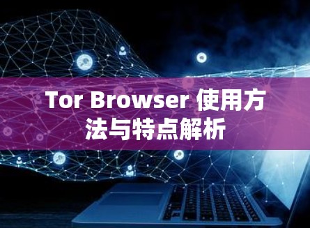 Tor Browser 使用方法与特点解析 Tor Browser 使用方法与特点解析