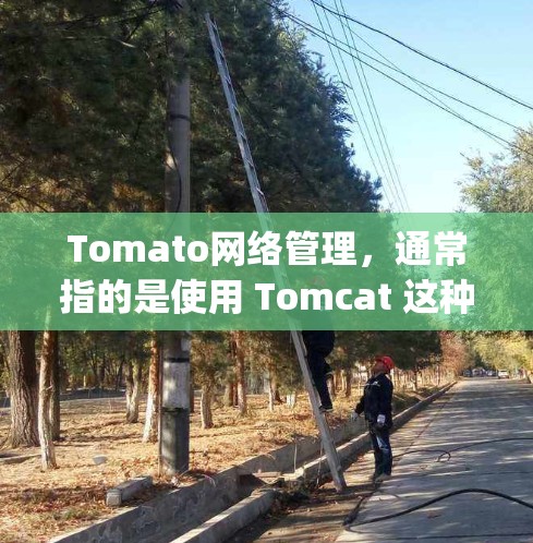 Tomato网络管理,通常指的是使用 Tomcat 这种工具来管理网络服务(如服务器、缓存服务、数据库服务等)Tomcat 是 Apache Tomcat 的核心,用于提供网络服务的配置和管理 Tomato网络管理,通常指的是使用 Tomcat 这种工具来管理网络服务(如服务器、缓存服务、数据库服务等)Tomcat 是 Apache Tomcat 的核心,用于提供网络服务的配置和管理