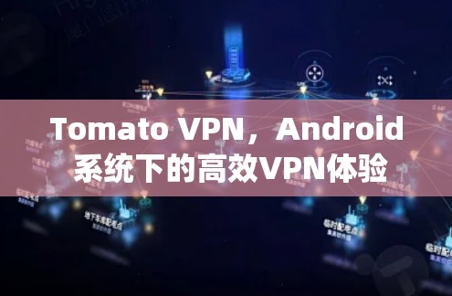 Tomato VPN,Android 系统下的高效VPN体验 Tomato VPN,Android 系统下的高效VPN体验