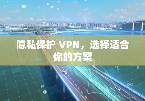 隐私保护 VPN,选择适合你的方案 隐私保护 VPN,选择适合你的方案