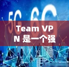 Team VPN 是一个强大的团队网络管理工具，适合实时监控和管理团队网络。以下是详细的使用步骤和注意事项