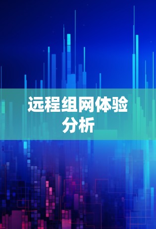 远程组网体验分析