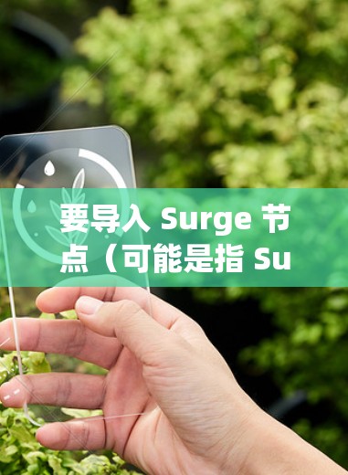 要导入 Surge 节点(可能是指 Surge.js 或类似工具)您可以按照以下步骤进行 要导入 Surge 节点(可能是指 Surge.js 或类似工具)您可以按照以下步骤进行