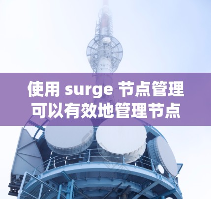 使用 surge 节点管理可以有效地管理节点、存储、容器和文档，帮助你在云环境中优化资源使用和满足用户需求。以下是使用 surge 节点管理的具体步骤