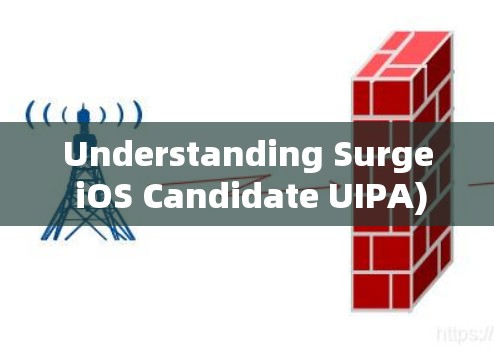 Understanding Surge iOS Candidate UIPA) Understanding Surge iOS Candidate UIPA)