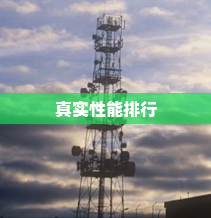 真实性能排行