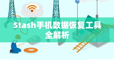 Stash手机数据恢复工具全解析
