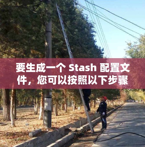 要生成一个 Stash 配置文件,您可以按照以下步骤进行 要生成一个 Stash 配置文件,您可以按照以下步骤进行