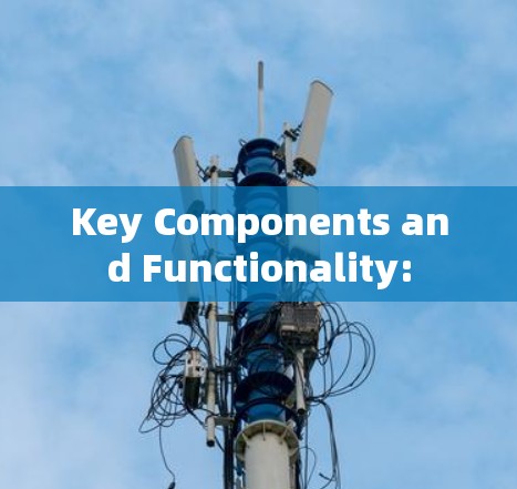Key Components and Functionality: