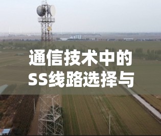 通信技术中的SS线路选择与优化技巧 通信技术中的SS线路选择与优化技巧