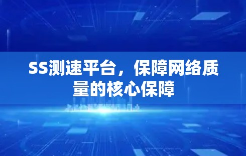 SS测速平台,保障网络质量的核心保障 SS测速平台,保障网络质量的核心保障