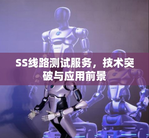 SS线路测试服务,技术突破与应用前景 SS线路测试服务,技术突破与应用前景
