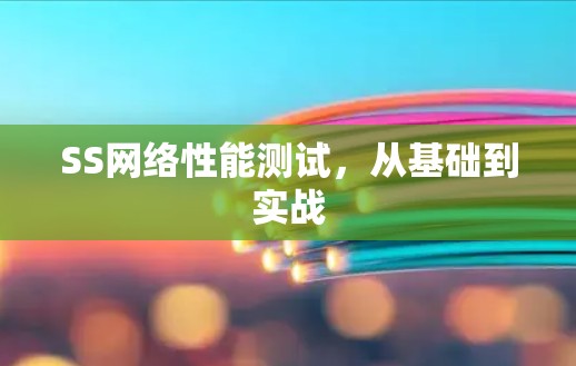 SS网络性能测试,从基础到实战 SS网络性能测试,从基础到实战