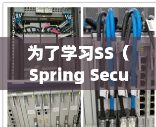 为了学习SS(Spring Security Service)的使用说明,可以按照以下步骤进行 为了学习SS(Spring Security Service)的使用说明,可以按照以下步骤进行