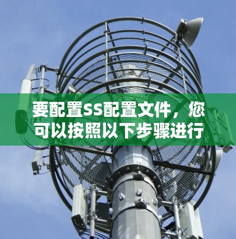 要配置SS配置文件,您可以按照以下步骤进行 要配置SS配置文件,您可以按照以下步骤进行