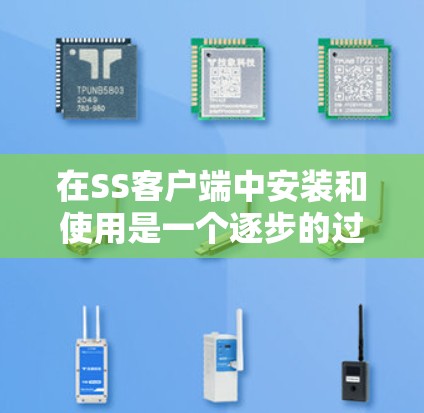 在SS客户端中安装和使用是一个逐步的过程，需要遵循以下步骤和注意事项，以确保安装顺利进行