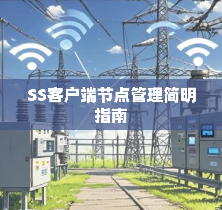 SS客户端节点管理简明指南 SS客户端节点管理简明指南
