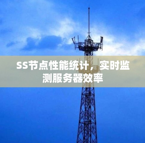 SS节点性能统计，实时监测服务器效率