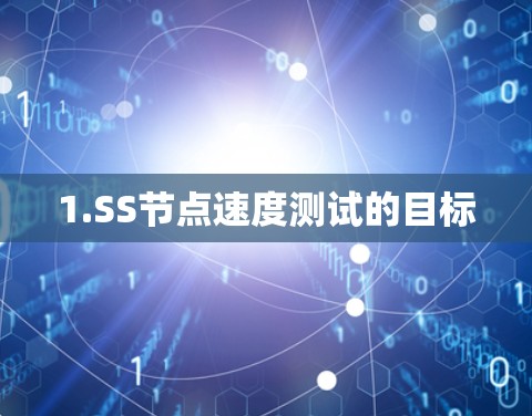 1.SS节点速度测试的目标 1.SS节点速度测试的目标
