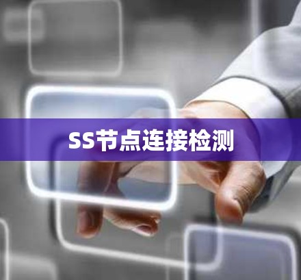 SS节点连接检测