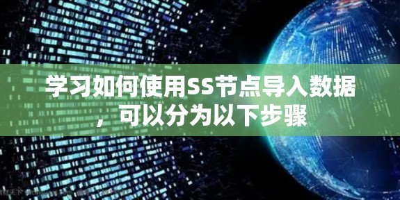 学习如何使用SS节点导入数据,可以分为以下步骤 学习如何使用SS节点导入数据,可以分为以下步骤