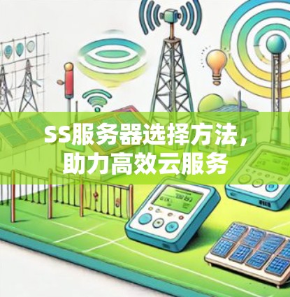 SS服务器选择方法，助力高效云服务