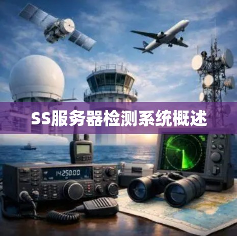 SS服务器检测系统概述 SS服务器检测系统概述