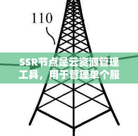 SSR节点是云资源管理工具，用于管理单个服务器资源。以下是详细的使用步骤
