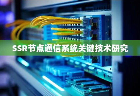 SSR节点通信系统关键技术研究 SSR节点通信系统关键技术研究